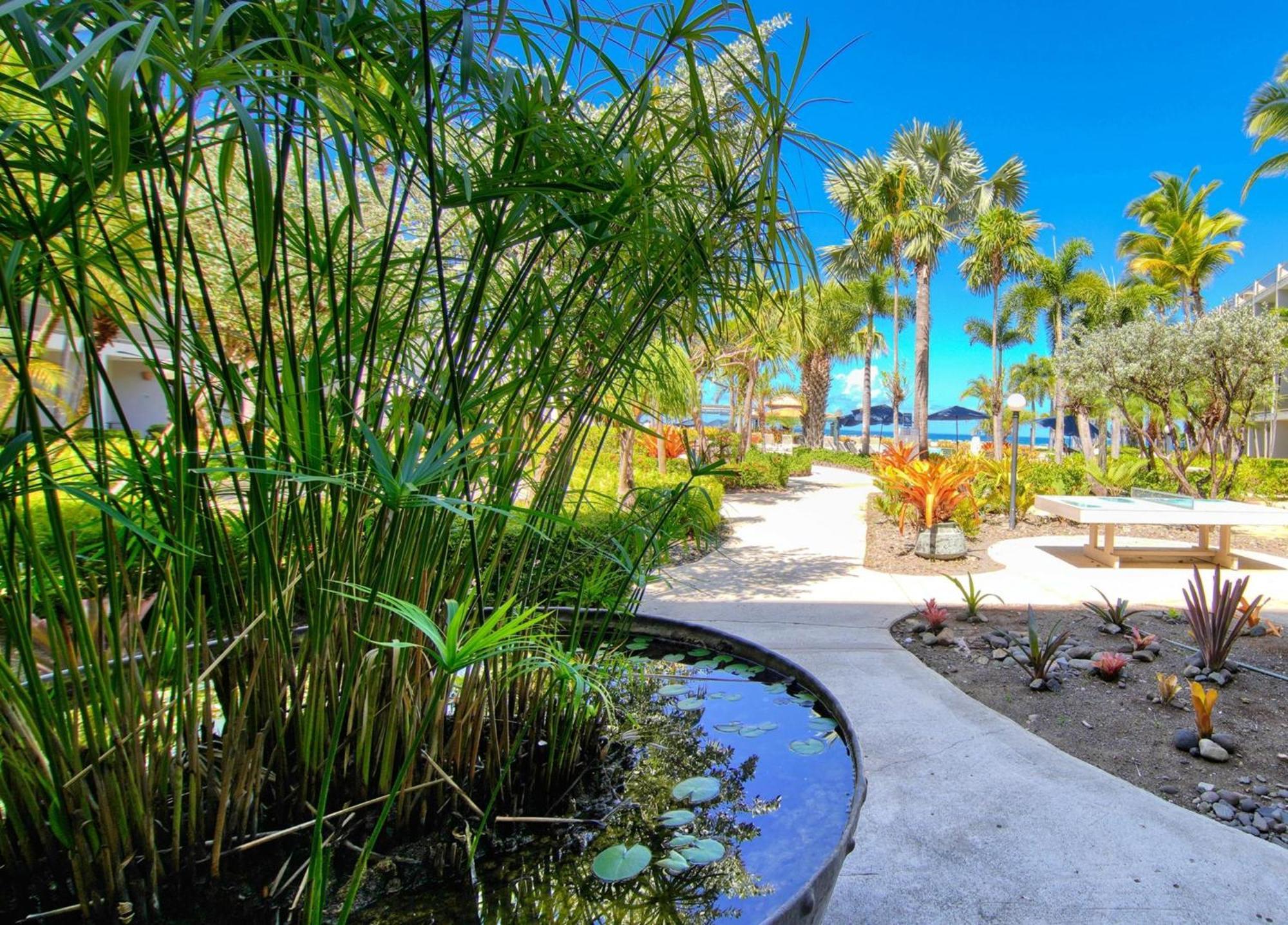 Rincon Of The Seas Grand Caribbean Hotel ภายนอก รูปภาพ